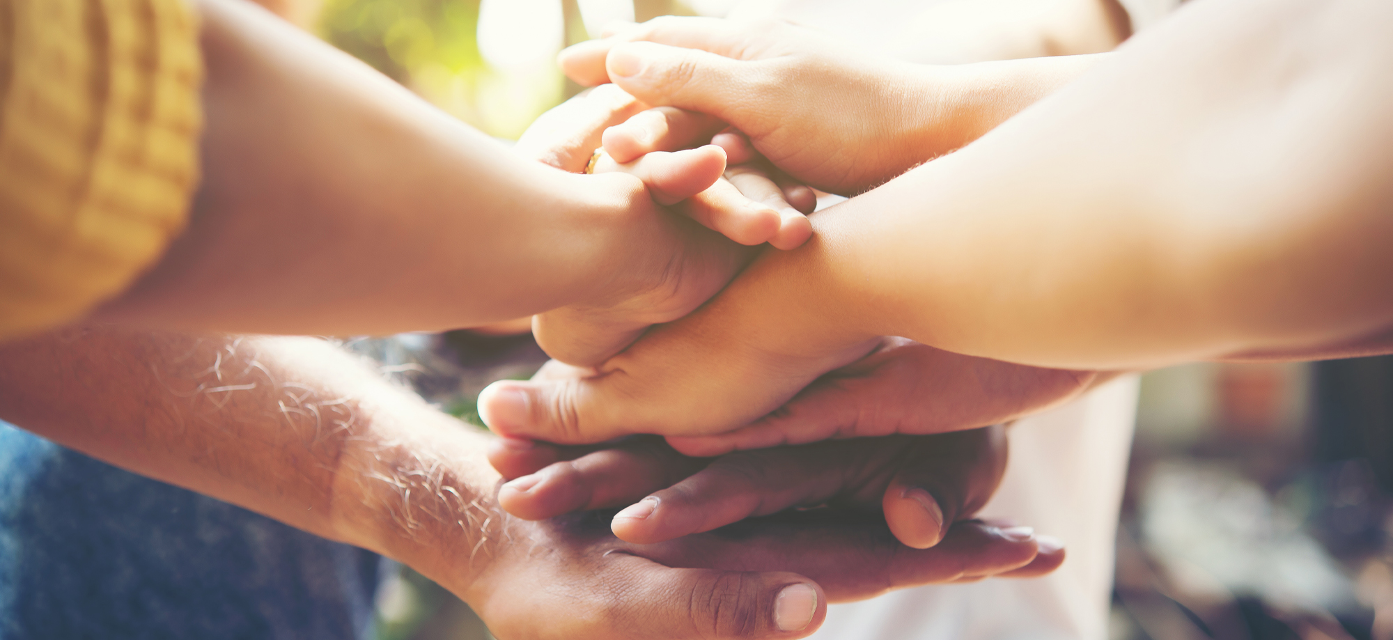 Gestión de alojamientos turísticos